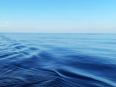 Carbon Cycles in Deep Ocean