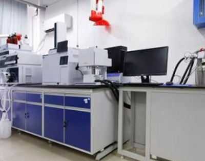 Organic geochemistry Lab