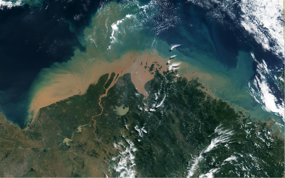 Carbon Cycles in Continental Margin Ocean
